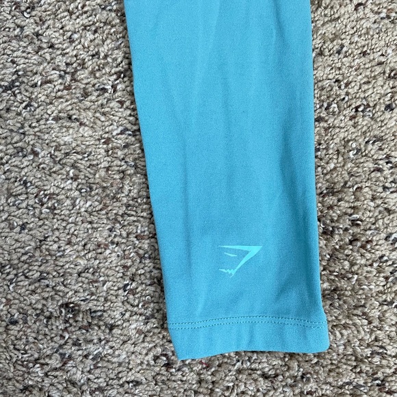 Whitney Simmons gymshark leggings - Picture 5 of 6